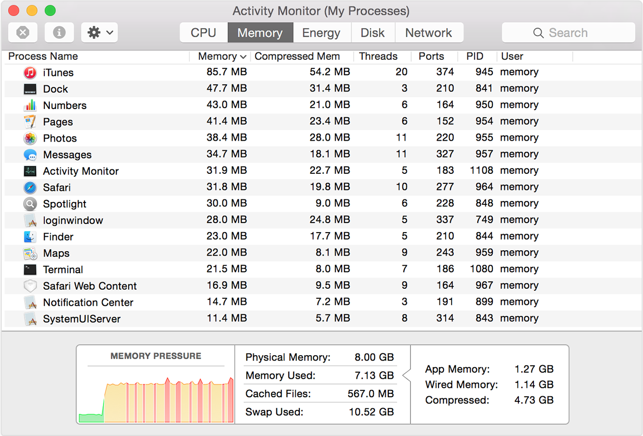 Mac Activity Monitor