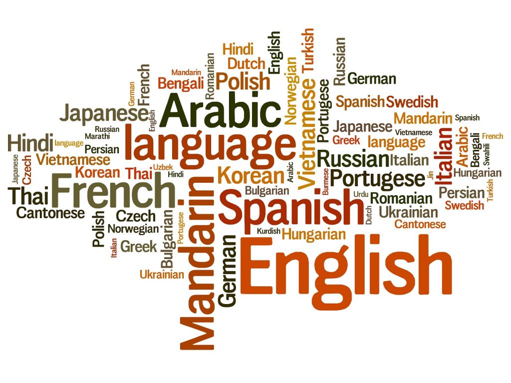 Translator Software